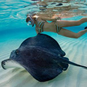 Private Charters to Stingray City, Grand Cayman Islands, Yacht Rental, Luxury Boats,