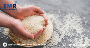 Latin America Rice Market