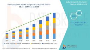 Excipients Markets