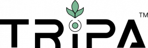 TRIPA Logo stands for Talents, Roles, Insights, Performance and Awareness. The tree sprang from a seed and it symbolise the parabola of the mustard seed. The mustard seed was the smallest seed, but it grew into a huge plant.- Mark 4: 30-32