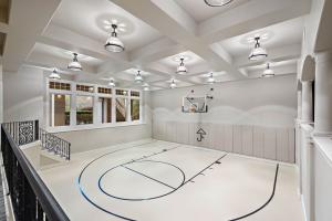 Spectacular recreation level with half-court basketball