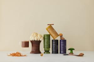 All of MUD\WTR's hero products lined up with some mushrooms.