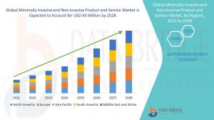 Minimally Invasive and Non Invasive Product and Service Market