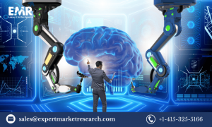 Robotic process automation Market