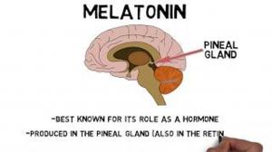 Melatonin Market