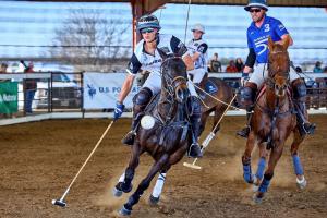 Arena polo player has his eye on the ball while riding his horse in Texas Arena League polo event