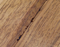 Hard wood floor bleed back
