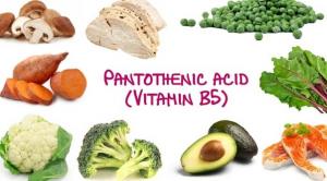 Global Pantothenic Acid Market Analysis