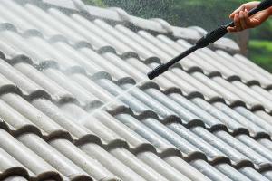Brown's Pressure Washing and Roof Cleaning 2