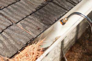 Brown's Pressure Washing and Roof Cleaning 4
