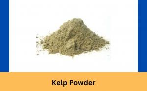 Kelp Powder
