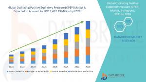 Oscillating Positive Expiratory Pressure (OPEP) Market