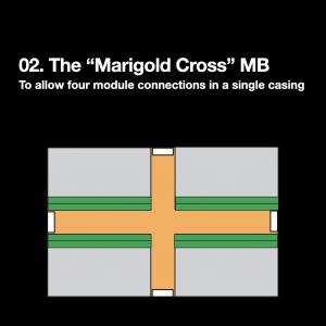 Marigold Cross