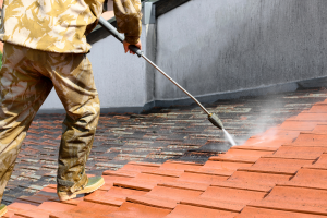Brown's Pressure Washing and Roof Cleaning 7
