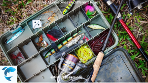 Fishing Accessories of Different Kinds