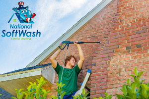 National SoftWash, Inc 2