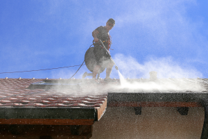 Brown's Pressure Washing and Roof Cleaning 11