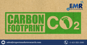 Carbon Footprint Management Market Share