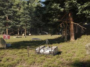 Landmine detection robot LeoTronics TrackReitar  CleanField