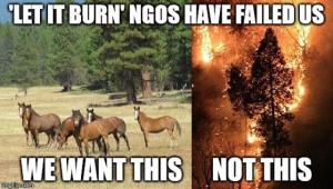 Some people and NGOs prefer to burn the landscape as 'fire prevention' an oxymoron, verses reestablishing the native species herbivory that keeps grass and brush fuels managed year round
