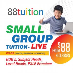 Small Group Tuition Singapore