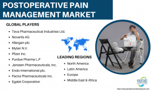 Postoperative pain management market