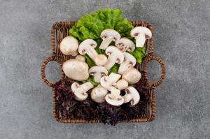 Mushrooms Market