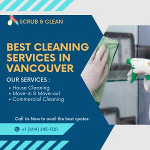 scrub and clean service