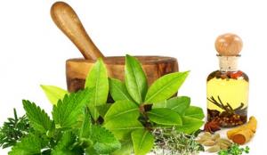 Global Natural Extracts Market