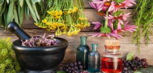 Global Natural Extracts Market Size
