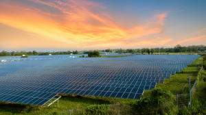 commercial solar panels in orange county field