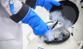 Global Temperature Controlled Packaging Market Size