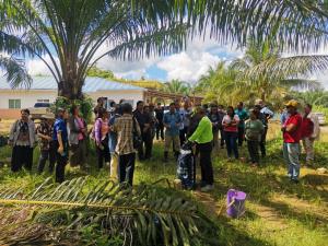 Indigenous Dayak men and women being trained by the Dayak Oil Palm Planters Association (DOPPA) on cultivating palm oil sustainably in Sarawak, Malaysia.  DOPPA is concerned that the EU regulations on imported deforestation, which includes palm oil, may h