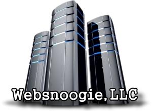 Websnoogie Stays Market Competitive in Omaha Web Design