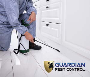 Guardian Pest Control 15