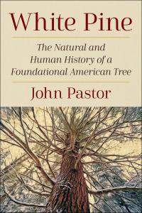 The Natural and Human History of a Foundational American Tree