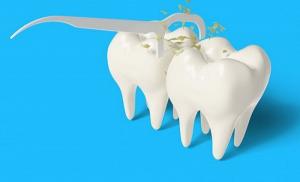 Dental Floss Market