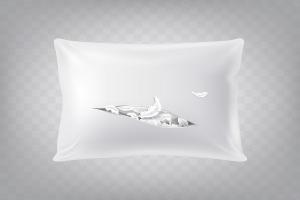 Pillow Bags Flexible Packaging Market