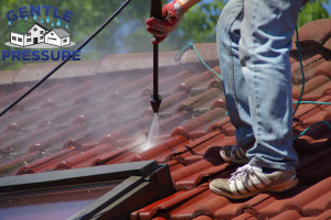 Gentle Pressure Roof and Exterior Cleaning 2