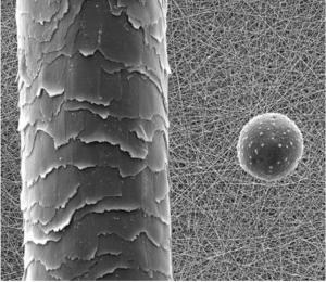 Global Nanofiber Market Analysis