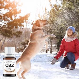Cannanda CB2 oil - Dog-Ease CB2 terpenes vial on an image with a dog standing and playing with flying snow while owner looks on with a smile on her face.