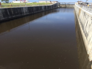 Port Mayaca Lock & Dam (48 hours post-NBOT treatment)