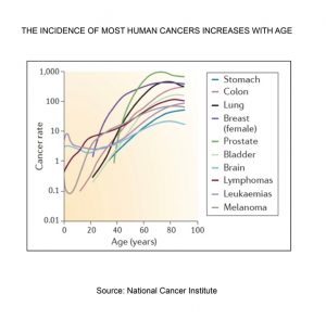 Illustration showing Incidence of most Cancers Increases with Age (Source: National Cancer Institute)