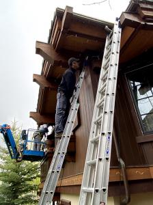 Get Bats Out performing residential bat removal using man-lift