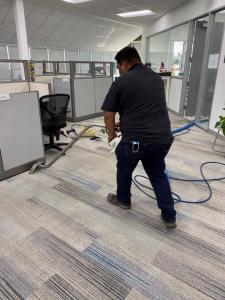 Carpet cleaning services, steam cleaning, shampooing, deep cleaning, stain removal, odor elimination, eco-friendly solutions, professional technicians, commercial, residential