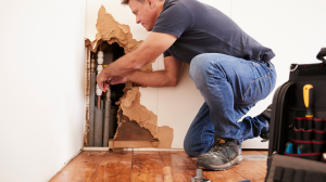 water damage repair expert in murrieta repairing pipes