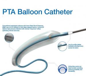 PTA Balloon Catheter Market