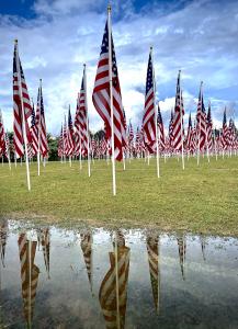Georgetown TX Field of Honor flags fly proudly