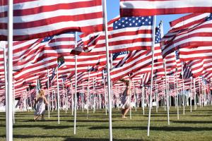 Kids of all ages enjoy the Georgetown TX Field of Honor