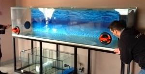 Aquarium Installation by Aquatech Aquarium Service in Culver City, CA